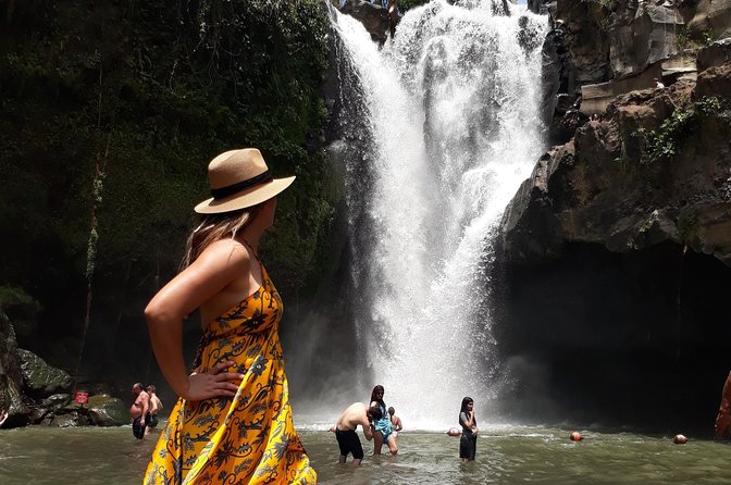 Private Ubud Tour Package - Tegalalang Rice Terrace and the swing platforms
