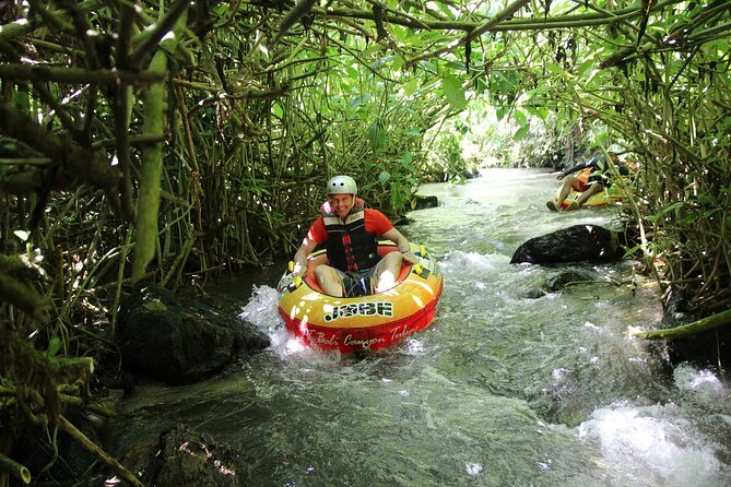 Quad or Buggy Tour with Canyon Tubing Adventure in Bali - Is the $137.83 price good value?