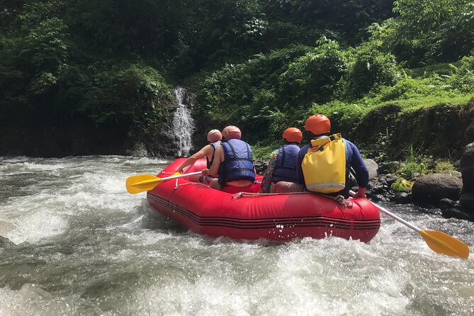 Rafting Adventure 18 km and Balinese Village Life Tour with Lunch - Safety Without Losing the Fun