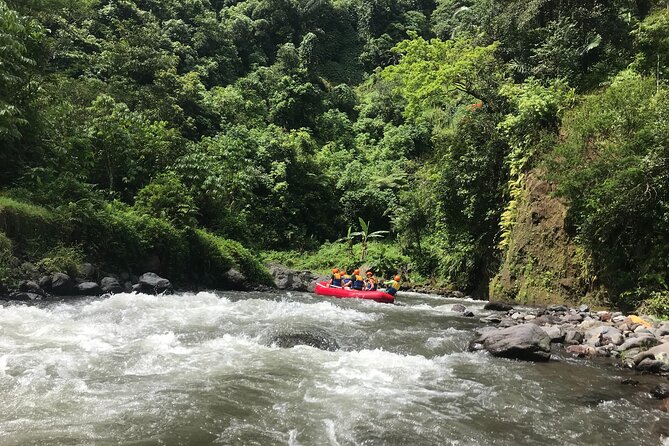 Rafting Adventure 18 km and Balinese Village Life Tour with Lunch - How the Private Format Changes the Experience