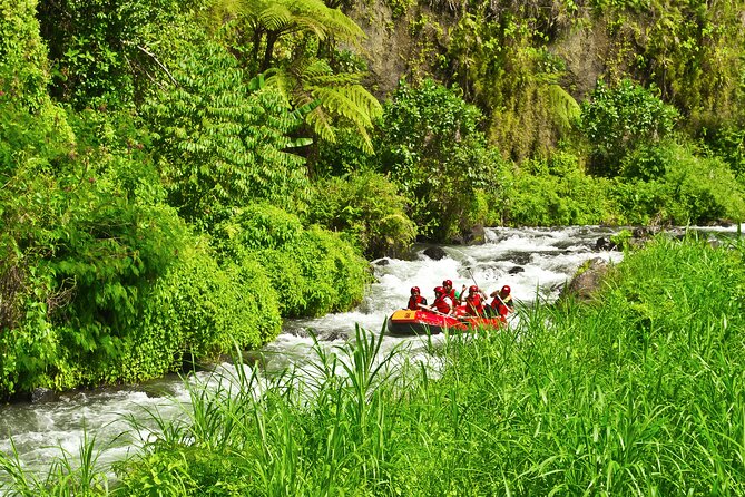 Rafting Adventure 18 km and Balinese Village Life Tour with Lunch - Is $73.02 a Fair Price?