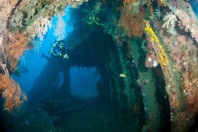 Sanur Open Water Course learn diving in 3 Days - Get certified & Dive everywhere - The instructors matter more than the scenery