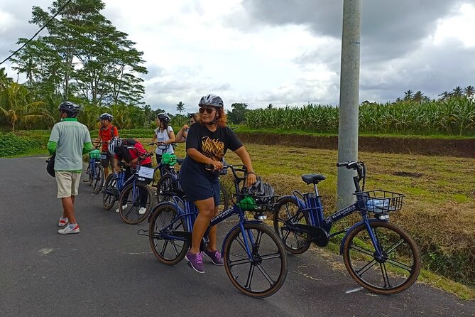 Sanur Village E-bike Tour: Family-Friendly Adventure - Why this Sanur ride feels different from a standard sightseeing tour