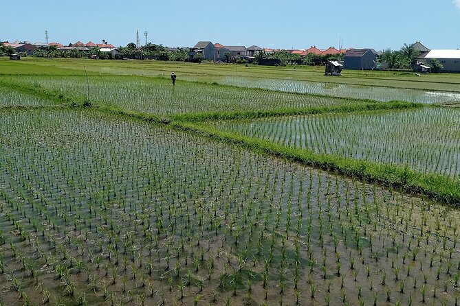 Sanur Village E-bike Tour: Family-Friendly Adventure - How the e-bike handles Sanur’s roads