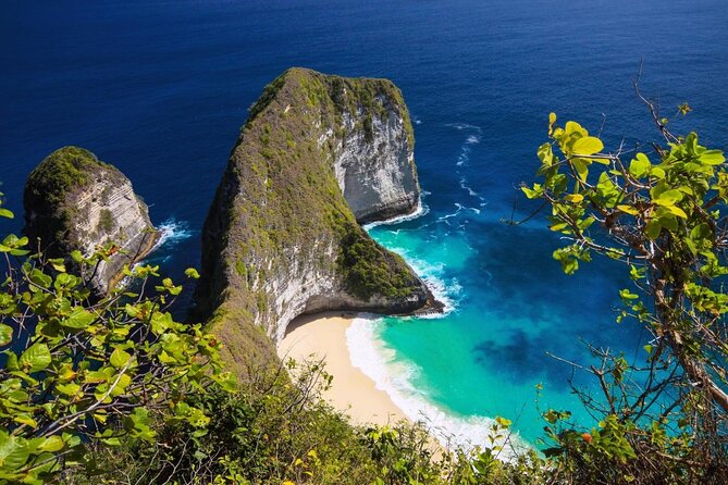 Scuba Diving in Nusa Penida - Manta Point - Key points to know before booking