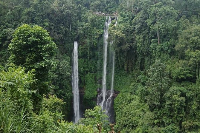 Sekumpul waterfall & aling2 waterfall with private service (including activity) - The one-hour transfer to Sekumpul