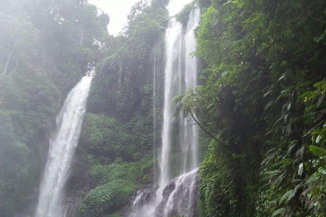 Sekumpul waterfall & aling2 waterfall with private service (including activity) - Aling-Aling: the stop for jumps and slides