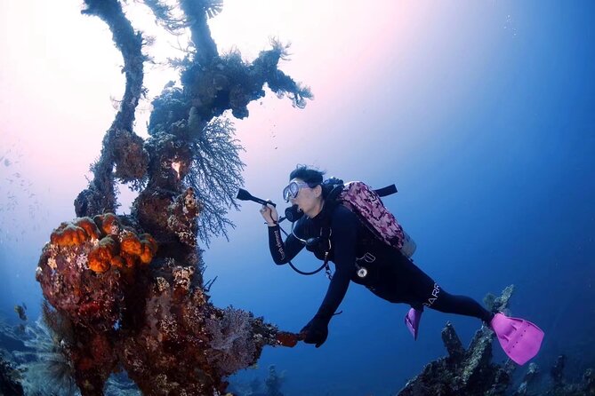 Shipwreck Diving in Tulamben - What it feels like to explore the wreck