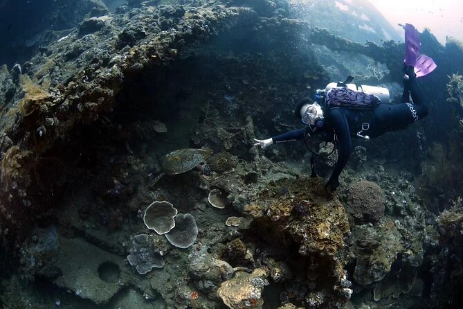 Shipwreck Diving in Tulamben - Snacks, lunch, and the return to Sanur