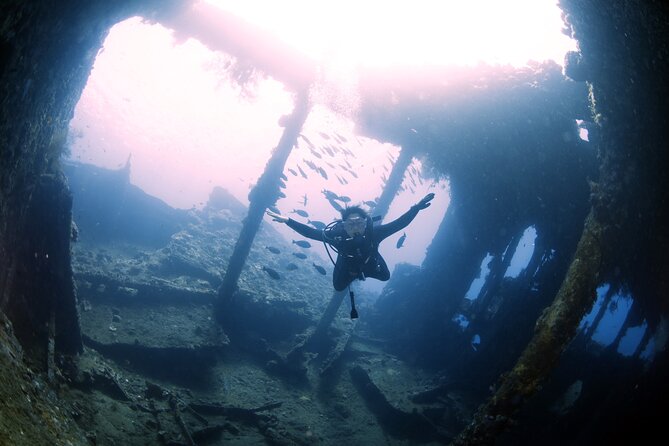 Shipwreck Diving in Tulamben - Is $150 a fair price?