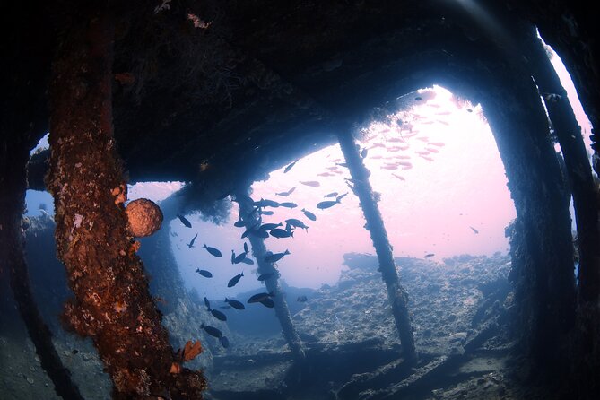 Shipwreck Diving in Tulamben - From Sanur briefing to Tulamben road trip
