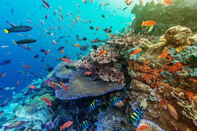 Snorkeling Adventure with East Nusa Penida Tour All Inclusive - A long island day that starts with manta country