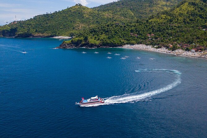 Snorkeling Adventure with East Nusa Penida Tour All Inclusive - What the local guide adds to the day
