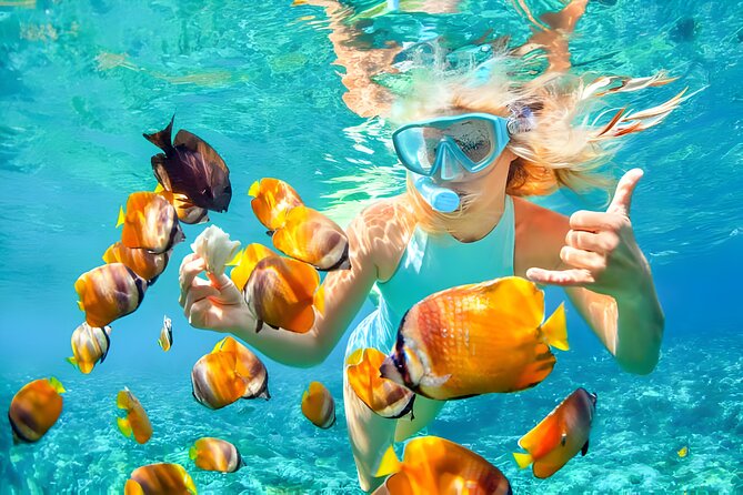 Snorkeling In Nusa Penida And Uluwatu Sunset Tours - Jimbaran Bay and the final seafood dinner