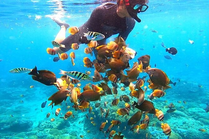 Snorkeling In Nusa Penida And Uluwatu Sunset Tours - My call: book it for breadth, not for relaxation