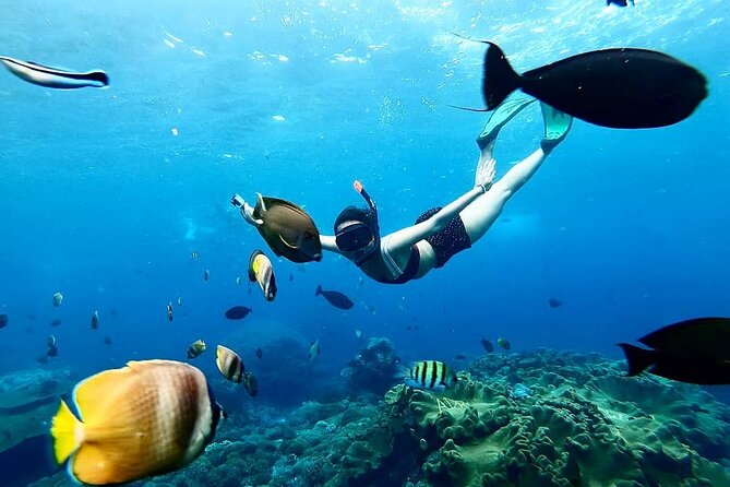 Snorkeling In Nusa Penida And Uluwatu Sunset Tours - Uluwatu Temple in the late afternoon