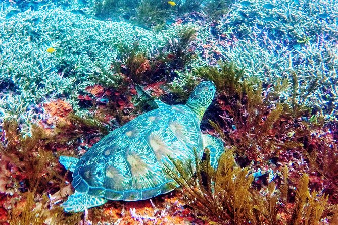 Snorkeling Package at Padang Bai Blue Lagoon - Boarding the traditional jukung boat