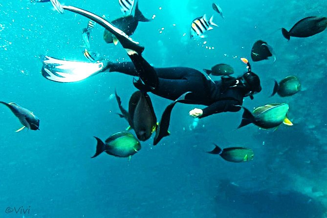 Snorkeling Package at Tulamben Liberty Shipwreck - First snorkeling session at 11:00 a.m.
