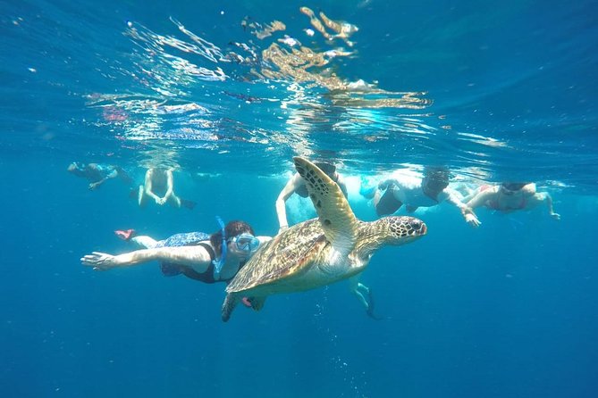 Snorkeling Tour In Gili Trawangan, Gili Meno And Gili Air Pick Up From Bali - Three Gili Islands from one Bali hotel pickup