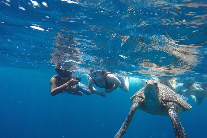 Snorkeling Tour In Gili Trawangan, Gili Meno And Gili Air Pick Up From Bali - What the private boat changes