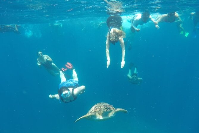 Snorkeling Tour In Gili Trawangan, Gili Meno And Gili Air Pick Up From Bali - Is $275 a fair price?
