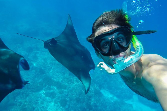 Snorkelling in Nusa Penida - Manta Point - Why Manta Point is the headline stop
