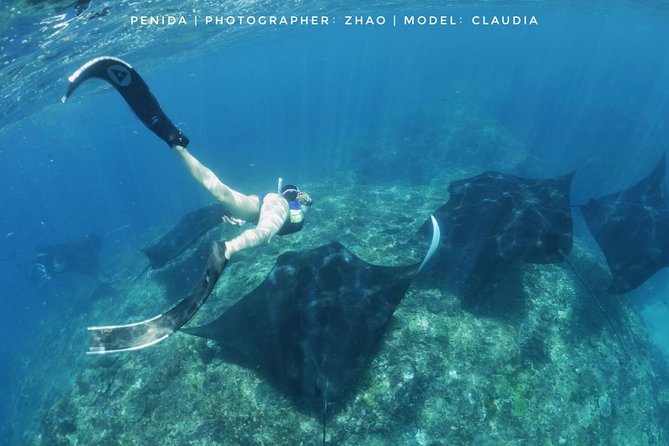 Snorkelling in Nusa Penida - Manta Point - Northern reef sites and the final part of the route