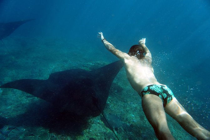 Snorkelling with Manta Rays at Nusa Penida and Lembongan - First stop: swimming near manta rays