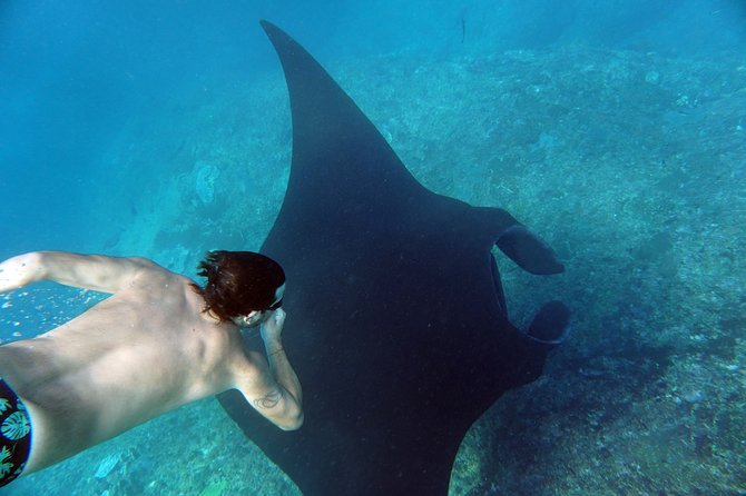 Snorkelling with Manta Rays at Nusa Penida and Lembongan - Timing, cancellation, and simple planning advice