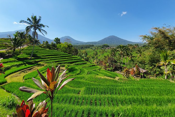 Solo or Group Tour - 10 Hours, 5 Persons Max - A private Bali day with room to change course