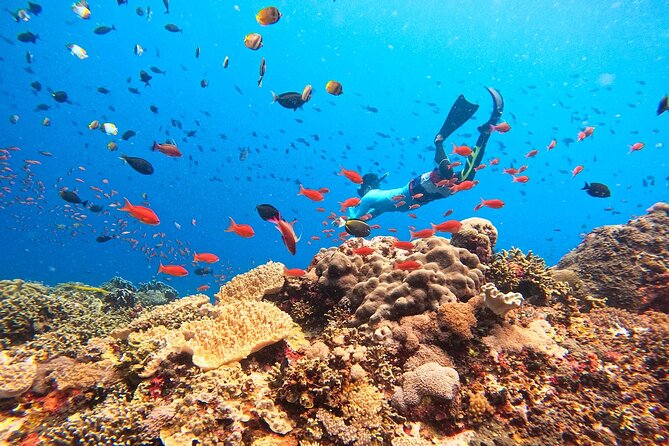 Swim with Manta Rays: Snorkeling Day Trip from Bali - Arriving at Jungut Batu Beach