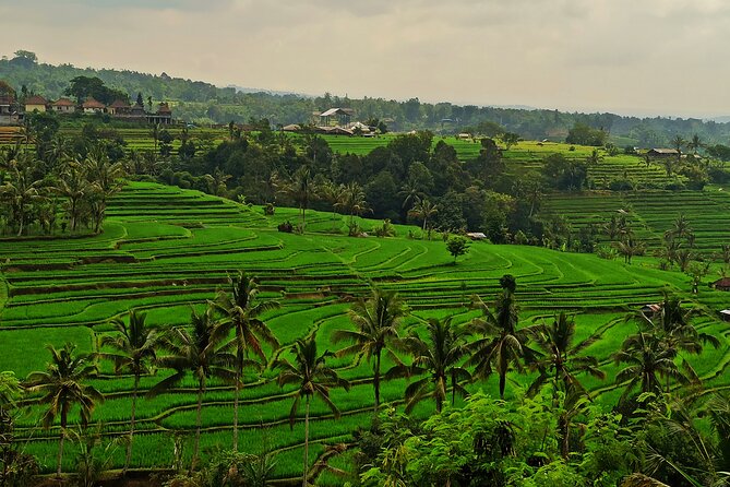 Tanah Lot Tour: Discover Bali’s Iconic Temple and Stunning Views - Yeh Ho Waterfall adds a short nature break