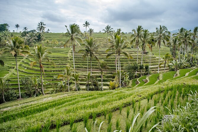 Tanah Lot & UNESCO Heritage Small Group Tour - The $20 price and what it really covers