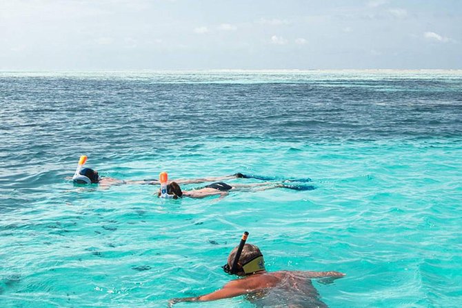 The Best 2-point Snorkeling in Padangbai: Blue lagoon and Tanjung jepun - From Nusa Dua to Padangbai by 7:00 am