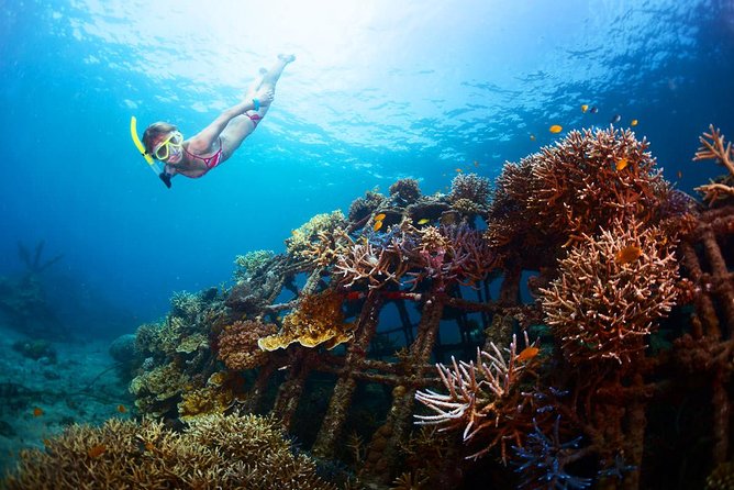 The Best 2-point Snorkeling in Padangbai: Blue lagoon and Tanjung jepun - What the private format changes