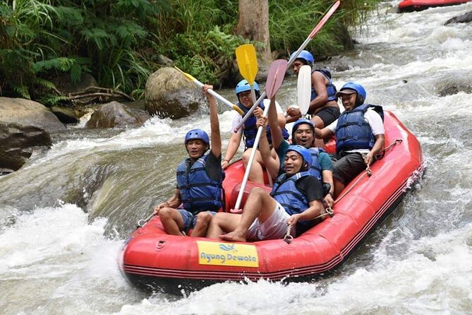 The Best Ayung River Rafting Adventure in Ubud - Who should book this Ayung River trip