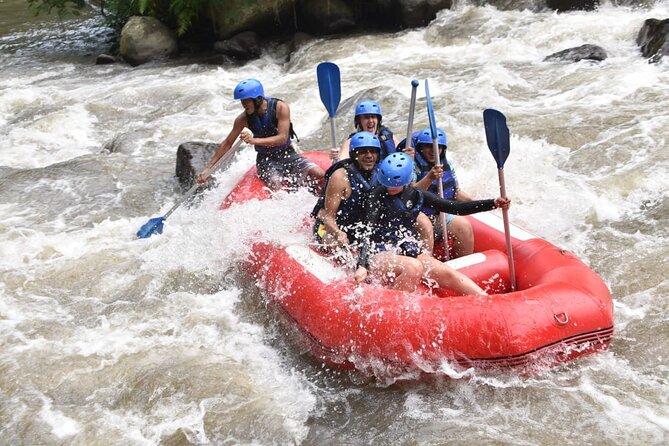 The Best Ayung River Rafting Adventure in Ubud - What to bring and what to plan for