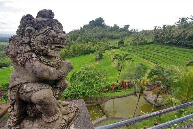 Tour: Besakih Temple-Kintamani Volcano-Water temple&Rice Terrace - Tegalalang and Bali’s famous rice terraces