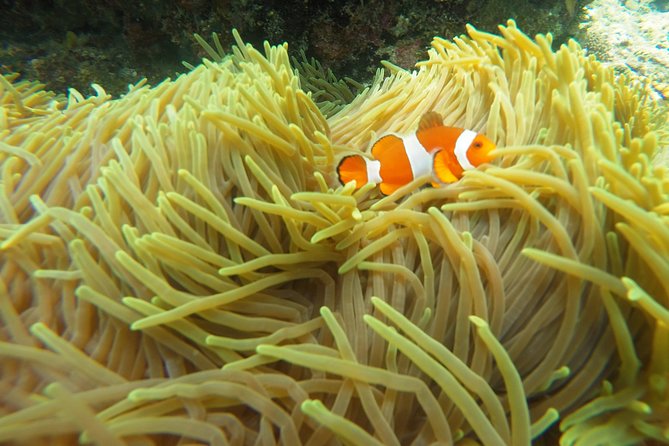 Try Scuba Diving at Padang Bai - Lunch, showers, and the practical comforts