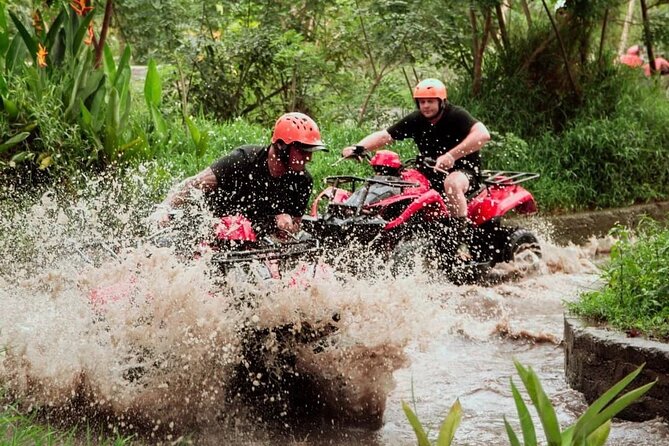 Ubud Bali ATV Quad Bike Legong Temple cave with Lunch and Pool - How the $25 price compares with the experience