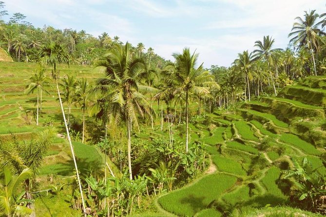 Ubud Combine Mount Batur Kintamani Tour - Mount Batur gives you the volcano view, not the summit