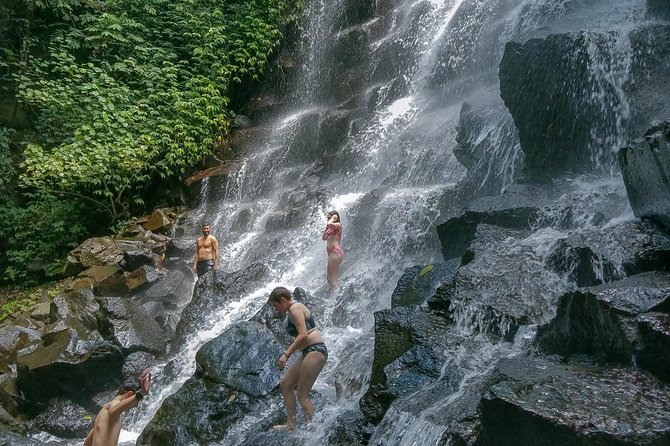 Ubud Customized Private Tour - Tegalalang Rice Terrace in 30 minutes