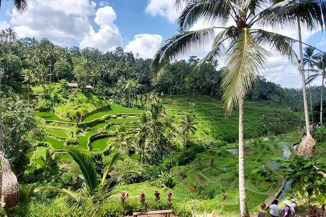 Ubud Customized Private Tour - Batuan Temple, traditional homes, and coffee