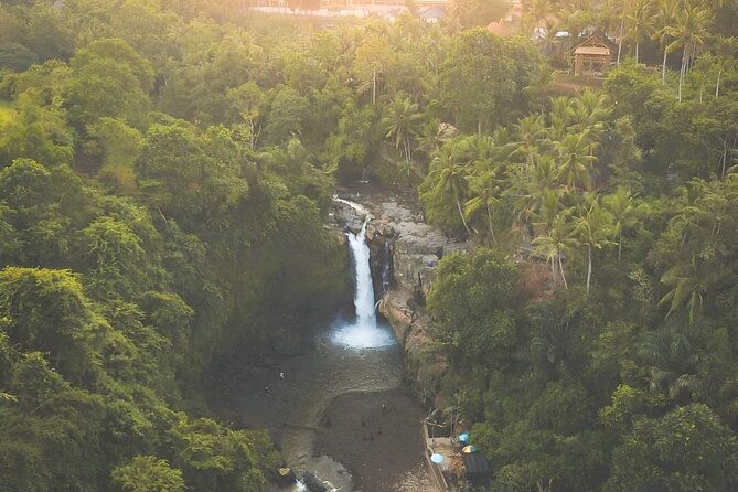 Ubud Day Tour: Sacred Monkey Forest, Tegenungan Waterfall, Rice Terrace - Sacred Monkey Forest, where nature meets Balinese belief