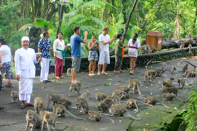 Ubud Day Tour: Sacred Monkey Forest, Tegenungan Waterfall, Rice Terrace - Ubud Traditional Art Market, the flexible part of the day
