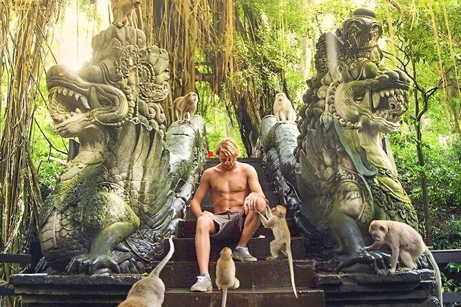 Ubud Day Tour: Sacred Monkey Forest, Tegenungan Waterfall, Rice Terrace - Who will get the most from this Ubud day