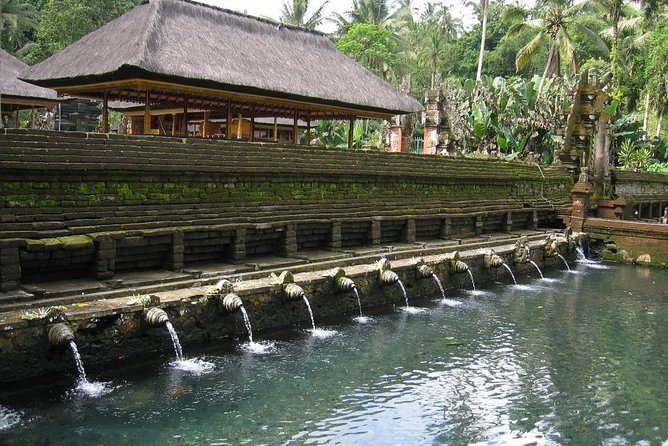 Ubud Experience ; Swing, Waterfalls, Art Market, Rice Terrace - Shopping at Ubud Traditional Art Market