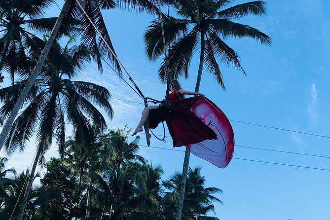 Ubud Experience ; Swing, Waterfalls, Art Market, Rice Terrace - The drivers make or break the day