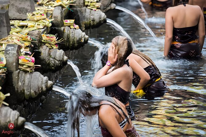 Ubud Highlights Rice Terraces, Temple, Waterfall & Monkeys forest - Entering the Sacred Monkey Forest Sanctuary