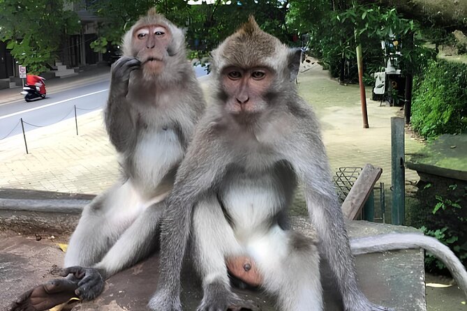 Ubud Highlights Rice Terraces, Temple, Waterfall & Monkeys forest - Cooling off at Tegenungan Waterfall